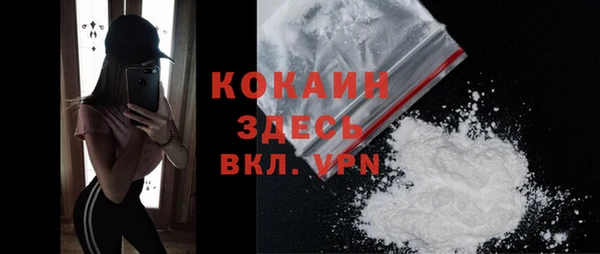 дживик Касимов