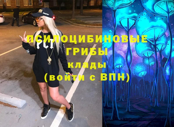 твердый Карпинск