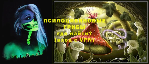 дживик Касимов