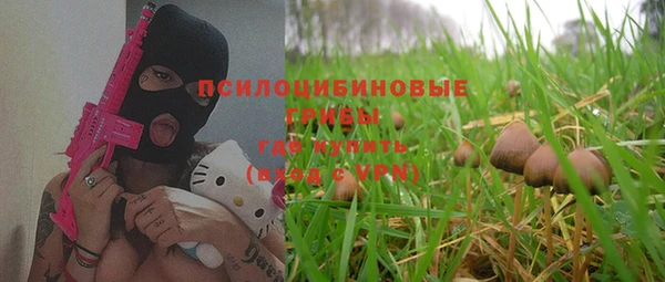 твердый Карпинск